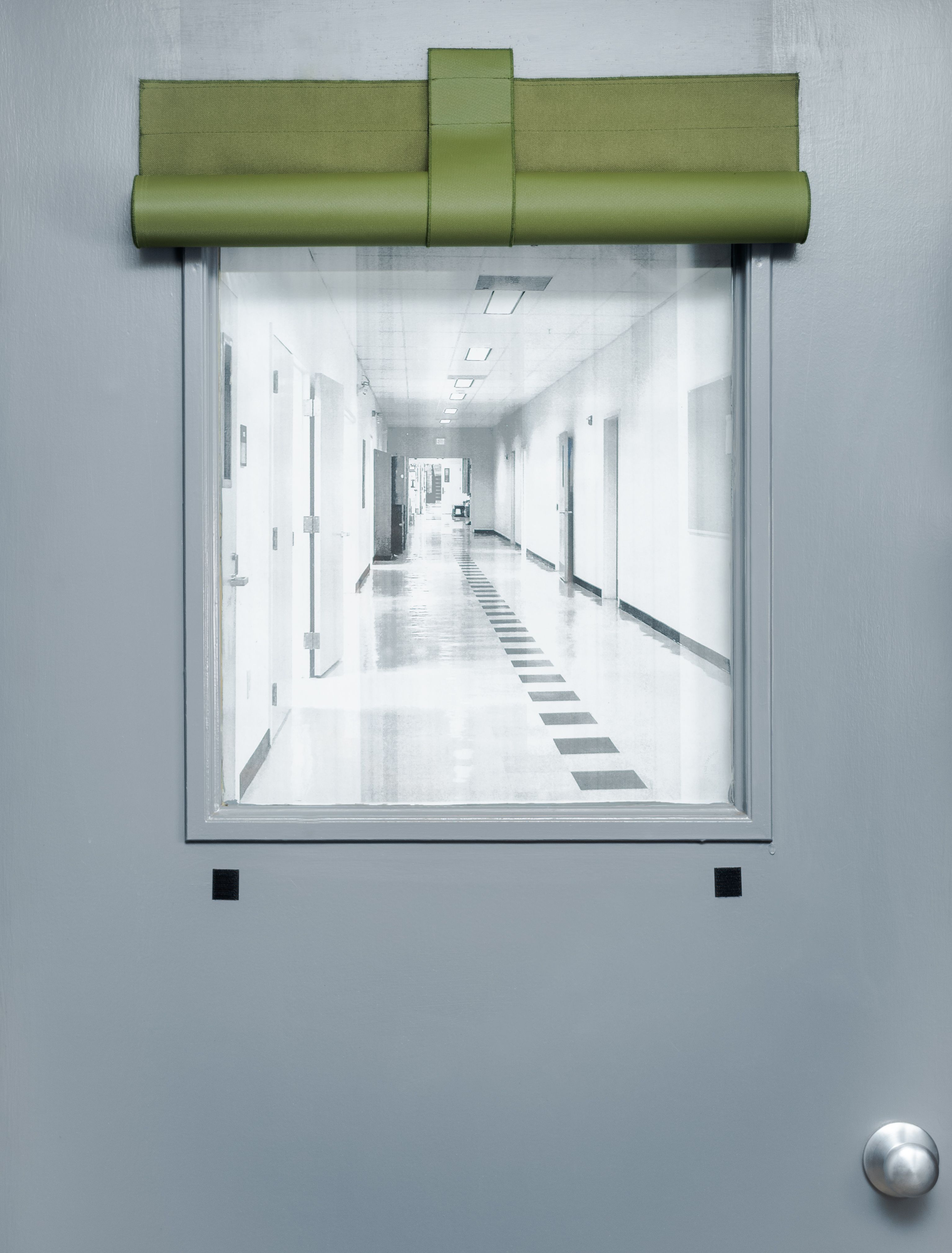 Forest Green Image
